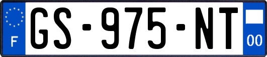 GS-975-NT