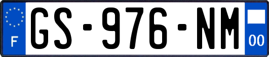 GS-976-NM