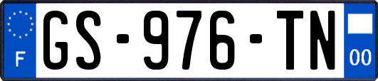 GS-976-TN