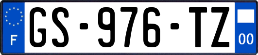 GS-976-TZ