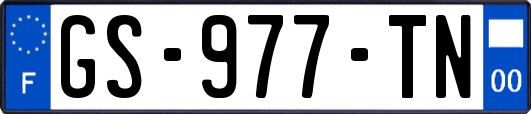 GS-977-TN
