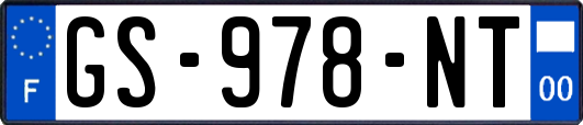 GS-978-NT