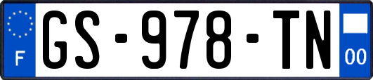 GS-978-TN