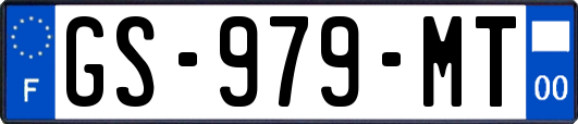 GS-979-MT