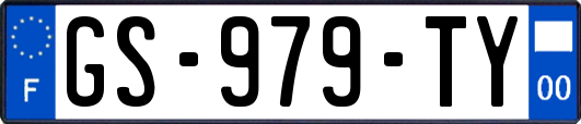 GS-979-TY