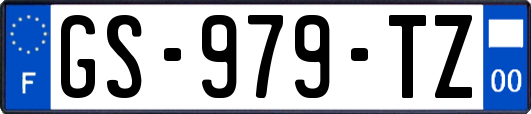 GS-979-TZ