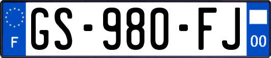GS-980-FJ