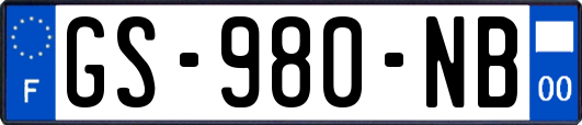 GS-980-NB