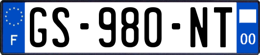 GS-980-NT