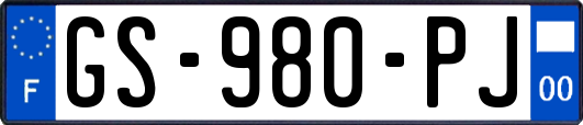 GS-980-PJ