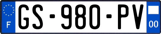 GS-980-PV