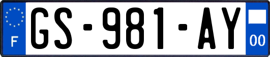 GS-981-AY