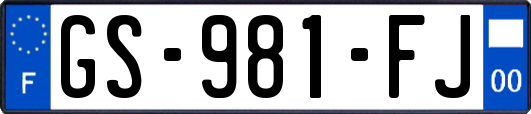 GS-981-FJ