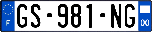 GS-981-NG