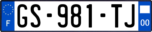 GS-981-TJ
