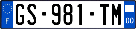 GS-981-TM