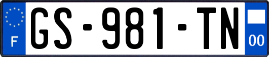 GS-981-TN