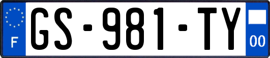 GS-981-TY