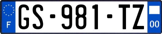 GS-981-TZ