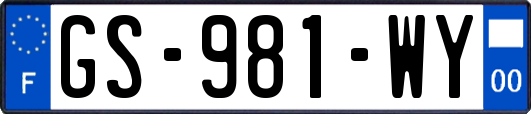 GS-981-WY