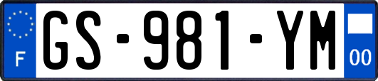 GS-981-YM