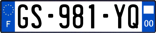 GS-981-YQ