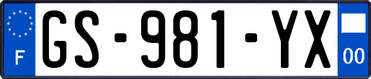 GS-981-YX