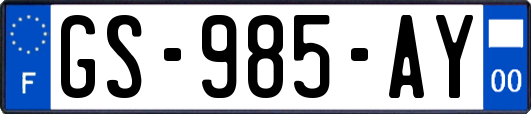 GS-985-AY