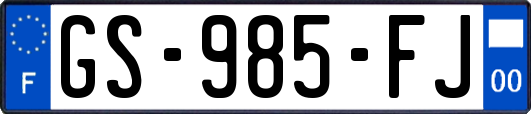 GS-985-FJ