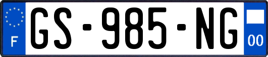 GS-985-NG