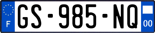 GS-985-NQ