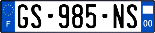 GS-985-NS