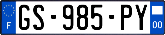 GS-985-PY
