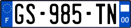 GS-985-TN