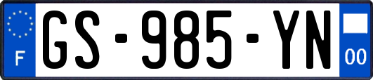 GS-985-YN