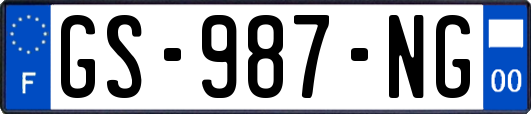GS-987-NG