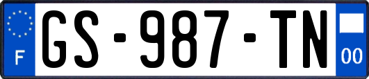GS-987-TN