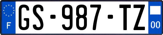 GS-987-TZ