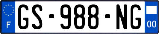 GS-988-NG