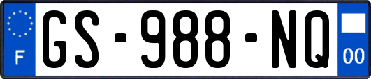 GS-988-NQ