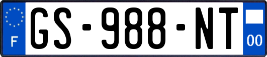 GS-988-NT