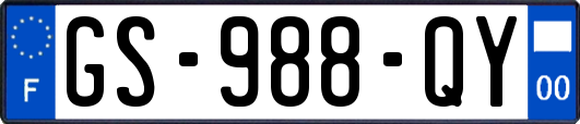 GS-988-QY