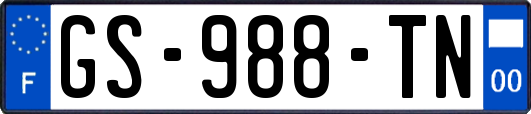 GS-988-TN