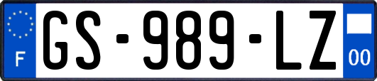 GS-989-LZ
