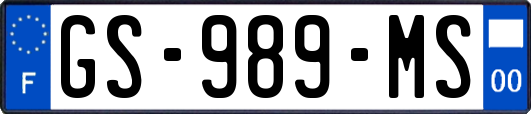 GS-989-MS