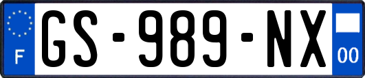 GS-989-NX