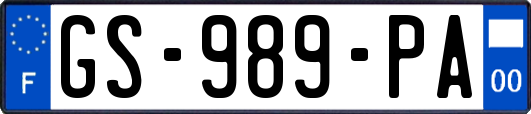 GS-989-PA