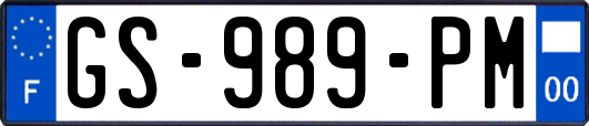 GS-989-PM
