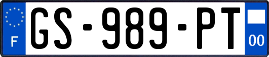 GS-989-PT