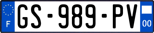 GS-989-PV